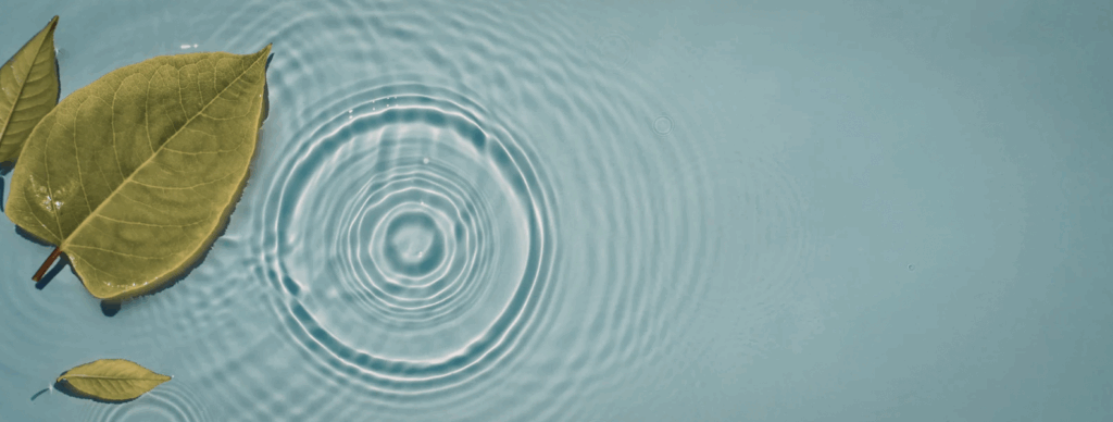 The Quantum Eraser: An Experiment in Co-Creating Reality