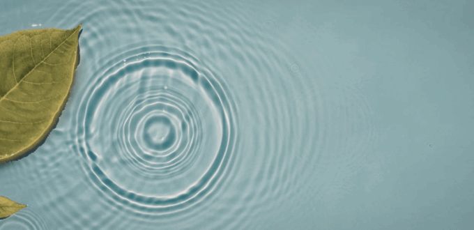 The Quantum Eraser: An Experiment in Co-Creating Reality