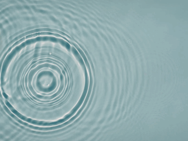 The Quantum Eraser: An Experiment in Co-Creating Reality